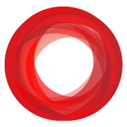 Crucial Hosting logo