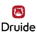 Druide informatique logo