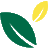 Plant.id logo