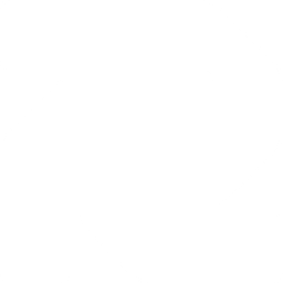Reybex logo