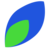 Springleaf Automation logo