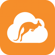 SupportSystem logo