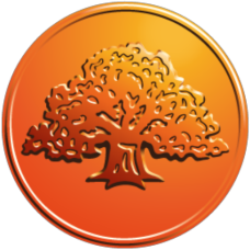 Swedbank Pay logo
