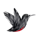 Web Bird Digital logo