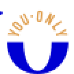 Yolo logo